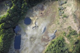 The Quarry
