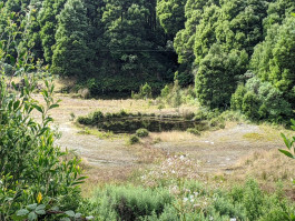 The Quarry